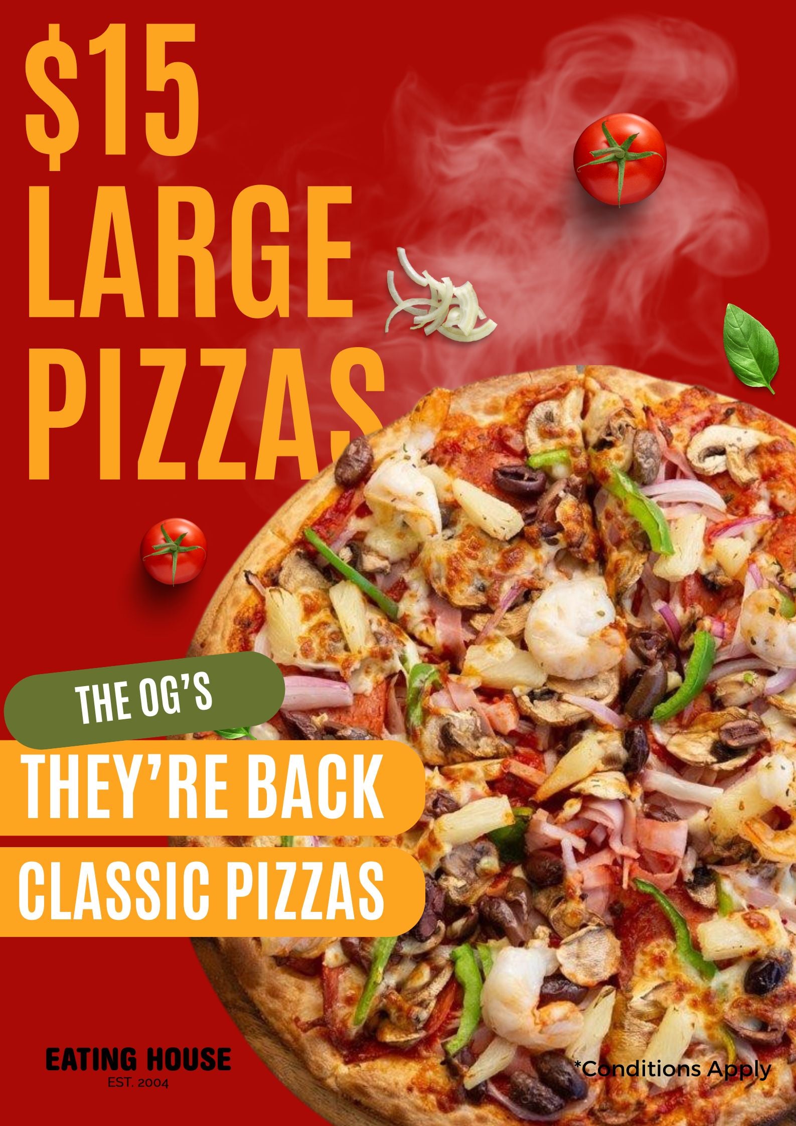 $15 LARGE PIZZA SPECIAL